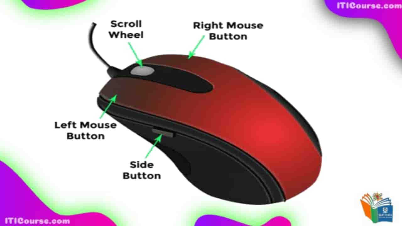 माउस के कितने भाग होते हैं?
